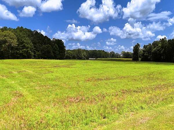 65.3 Acres of Recreational Land with Home for Sale in Maple Hill, North Carolina