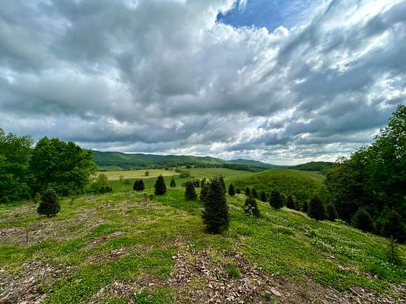 78.7 Acres of Land for Sale in Sugar Grove, Virginia