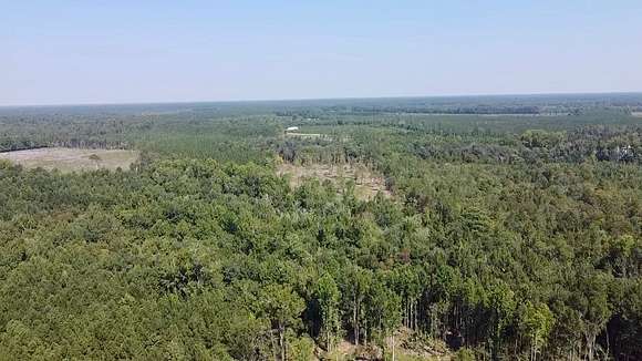 60 Acres of Recreational Land for Sale in Eure, North Carolina