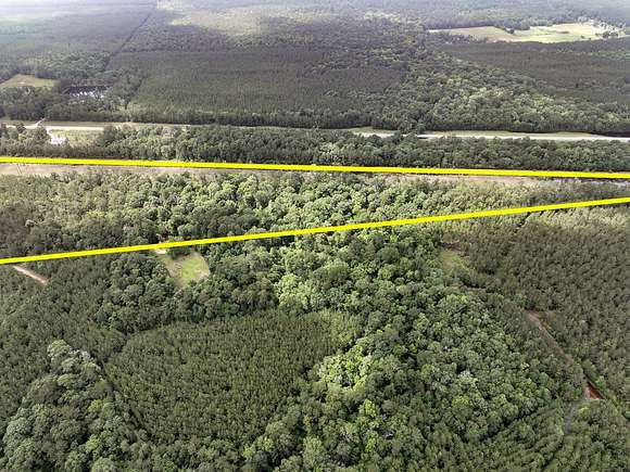 20 Acres of Agricultural Land for Sale in Honey Island, Texas