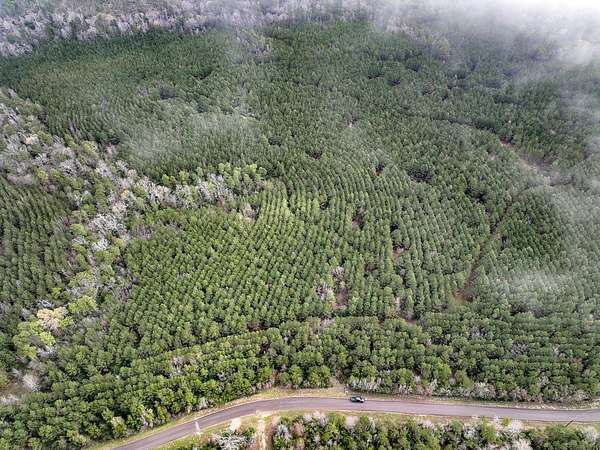 36 Acres of Recreational Land for Sale in Latexo, Texas