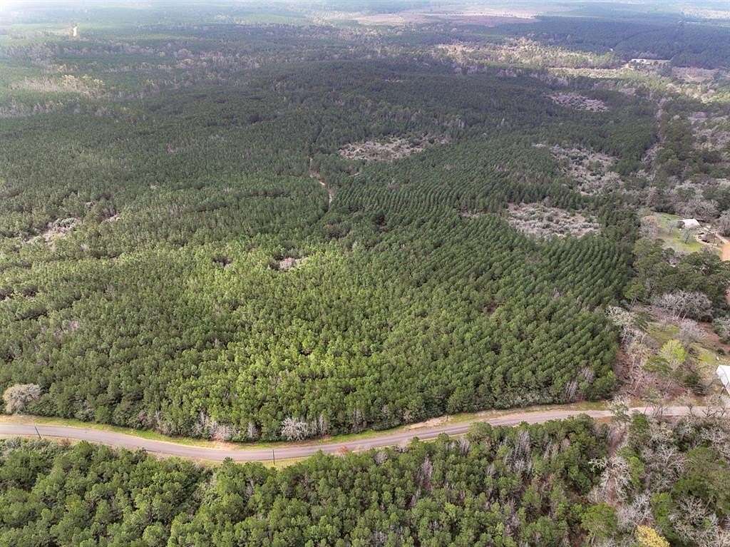 40 Acres of Recreational Land for Sale in Latexo, Texas