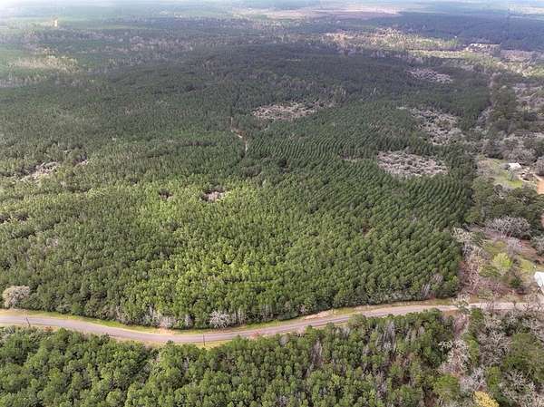 40 Acres of Recreational Land for Sale in Latexo, Texas