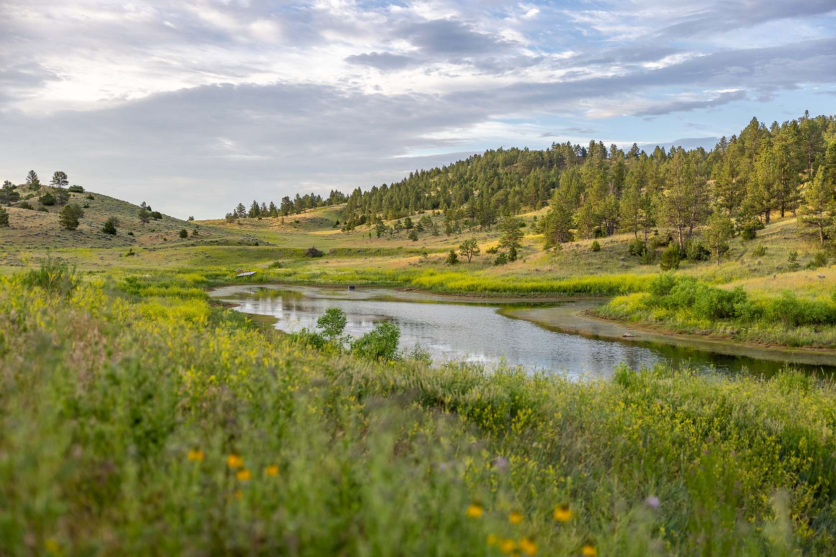 47.1 Acres of Recreational Land for Sale in Gillette, Wyoming