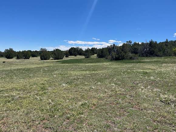 40 Acres of Recreational Land for Sale in Pueblo, Colorado