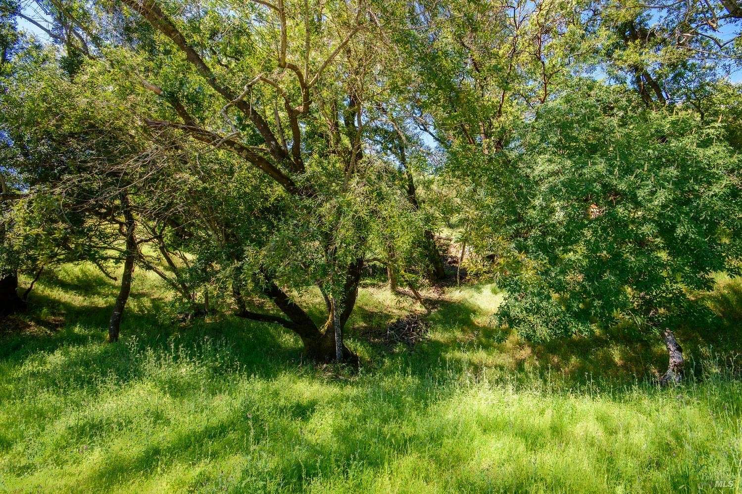 0.24 Acres of Residential Land for Sale in Napa, California