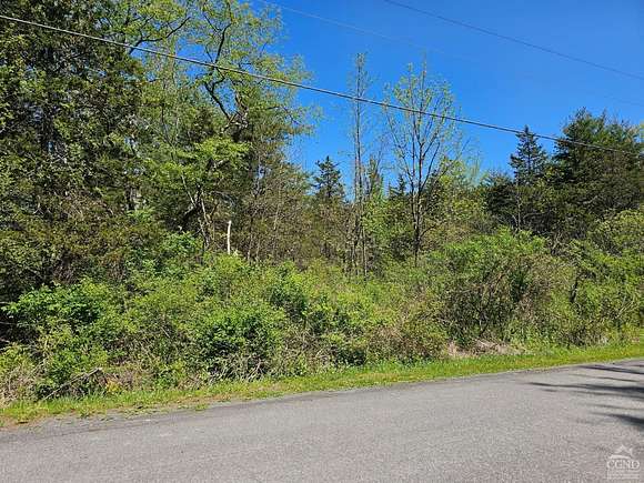 1.2 Acres of Land for Sale in Cairo, New York