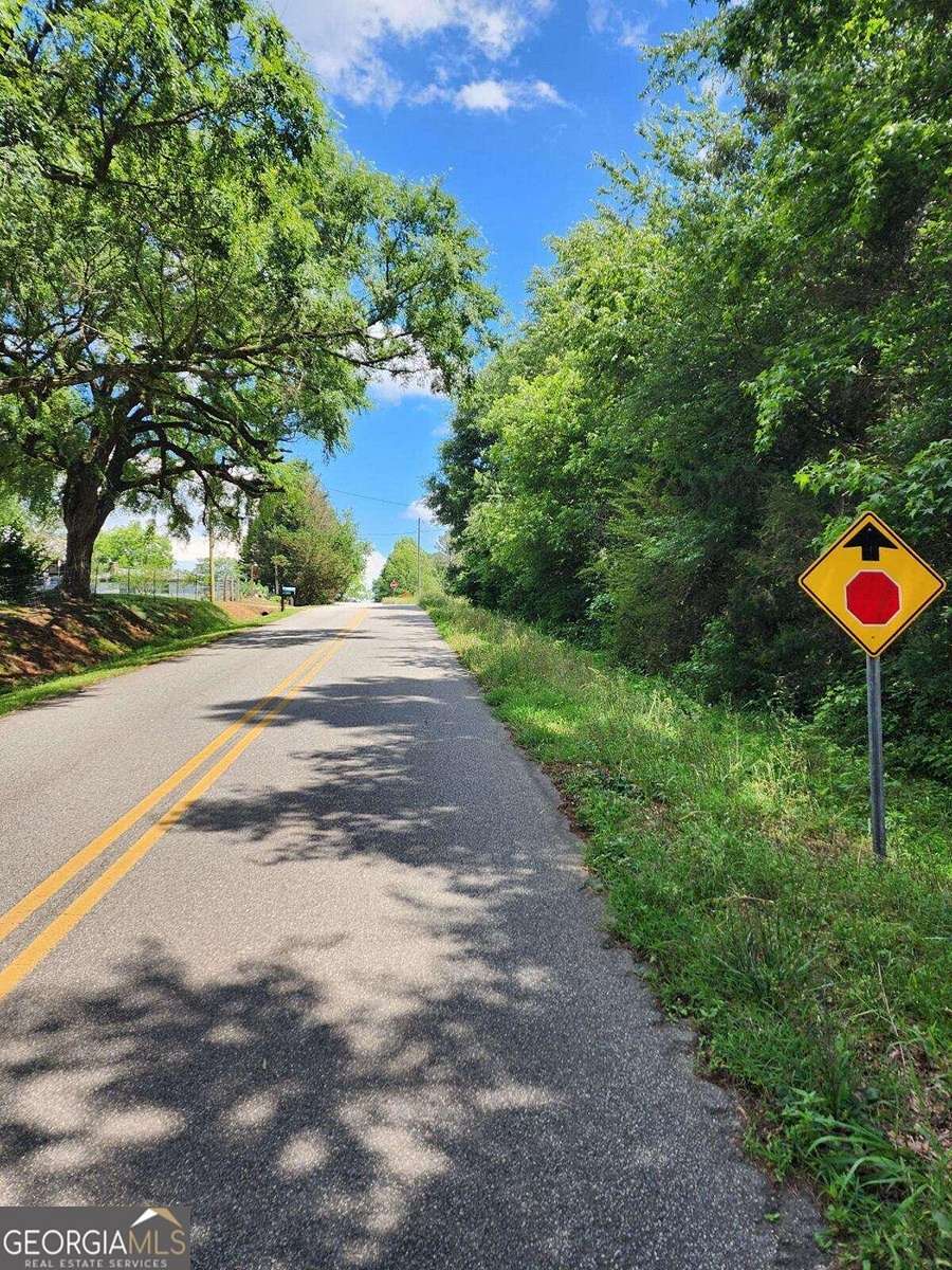 18.4 Acres of Land for Sale in Danielsville, Georgia