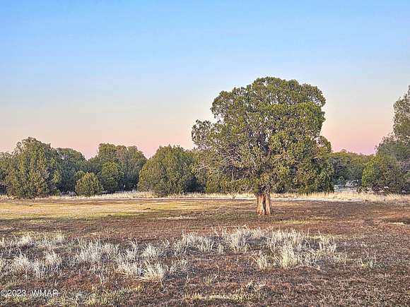 2.85 Acres of Residential Land for Sale in Show Low, Arizona