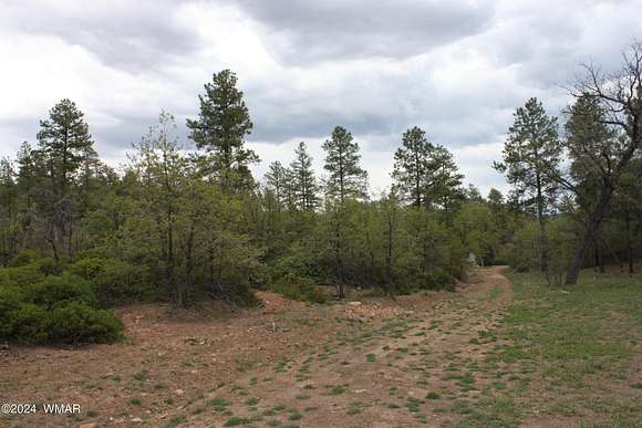 0.57 Acres of Residential Land for Sale in Show Low, Arizona
