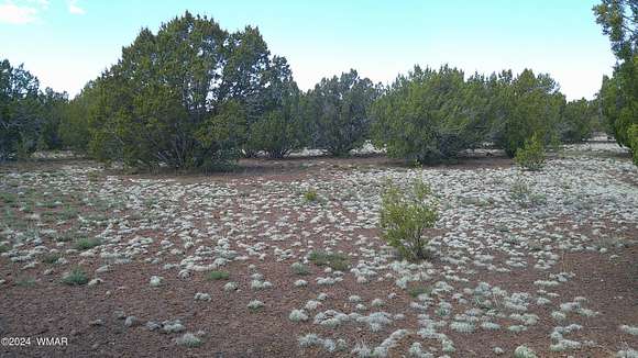 1.3 Acres of Residential Land for Sale in Vernon, Arizona