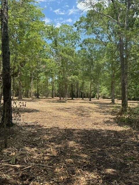 6 Acres of Land for Sale in Livingston, Texas