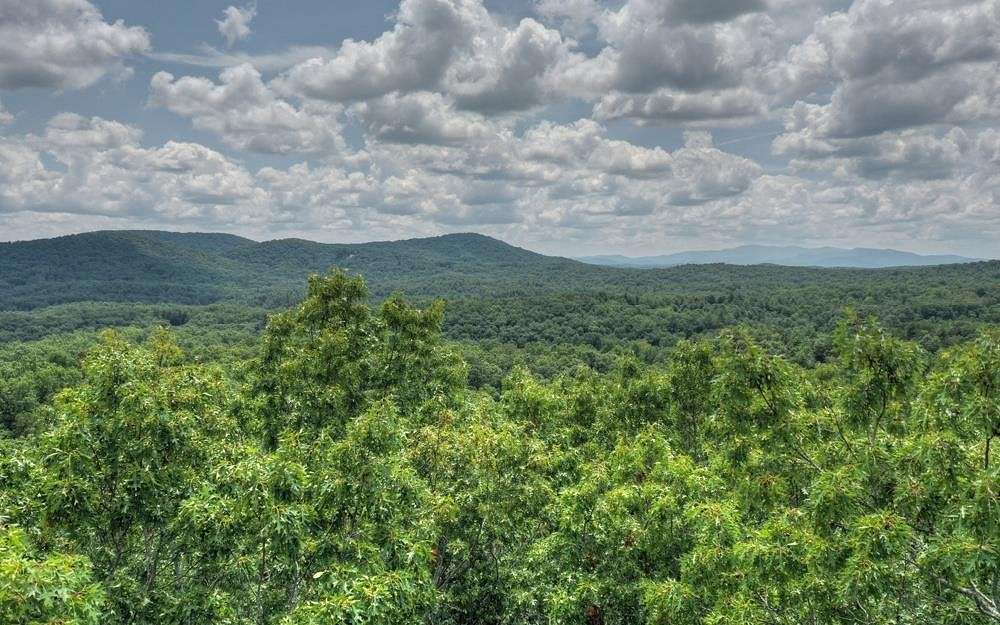 2.8 Acres of Land for Sale in Morganton, Georgia