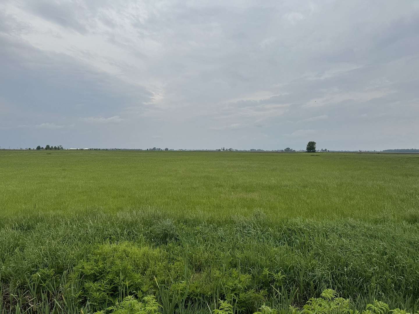 16.2 Acres of Land for Sale in Bonfield, Illinois