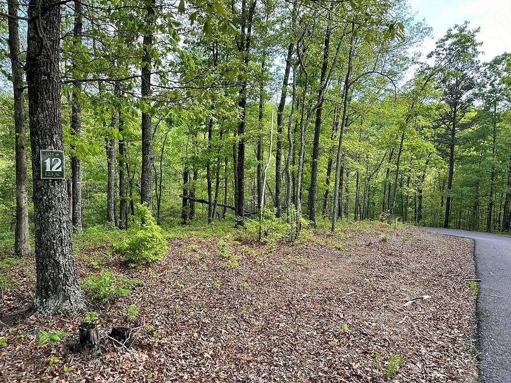 1.23 Acres of Land for Sale in Hayesville, North Carolina