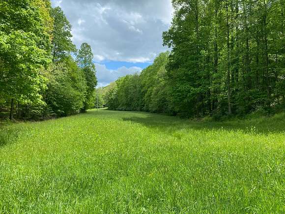 83.8 Acres of Recreational Land for Auction in Fairmont, West Virginia