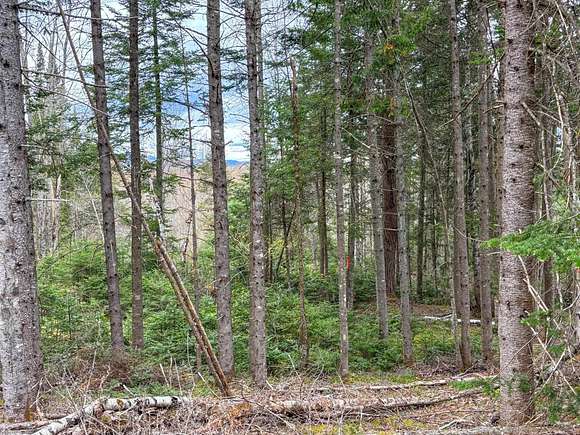 13.5 Acres of Recreational Land for Sale in Brighton Town, Vermont