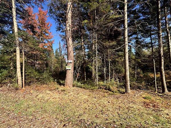 13.5 Acres of Land for Sale in Brighton Town, Vermont