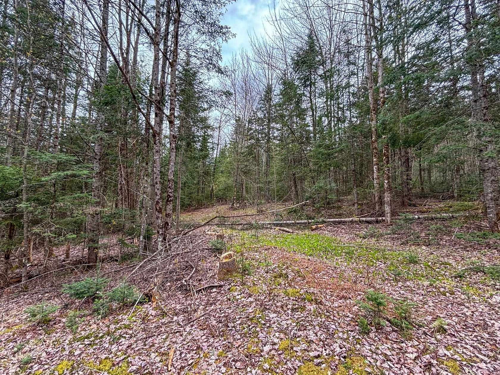 11.43 Acres of Land for Sale in Brighton Town, Vermont