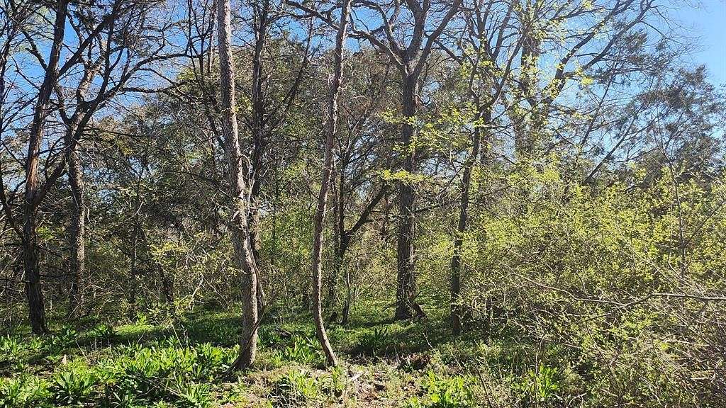 2.073 Acres of Residential Land for Sale in Bertram, Texas