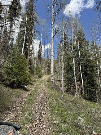 10.3 Acres of Land for Sale in South Fork, Colorado