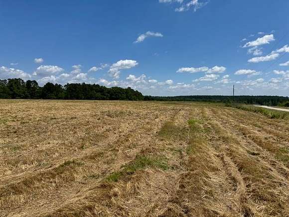 8.5 Acres of Residential Land for Sale in Ashford, Alabama