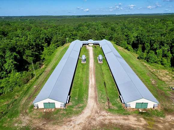 57 Acres of Land for Sale in Brundidge, Alabama