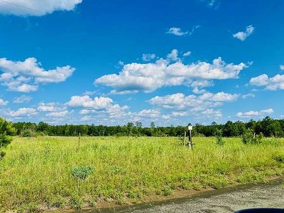 32 Acres of Agricultural Land for Sale in Pineland, Texas