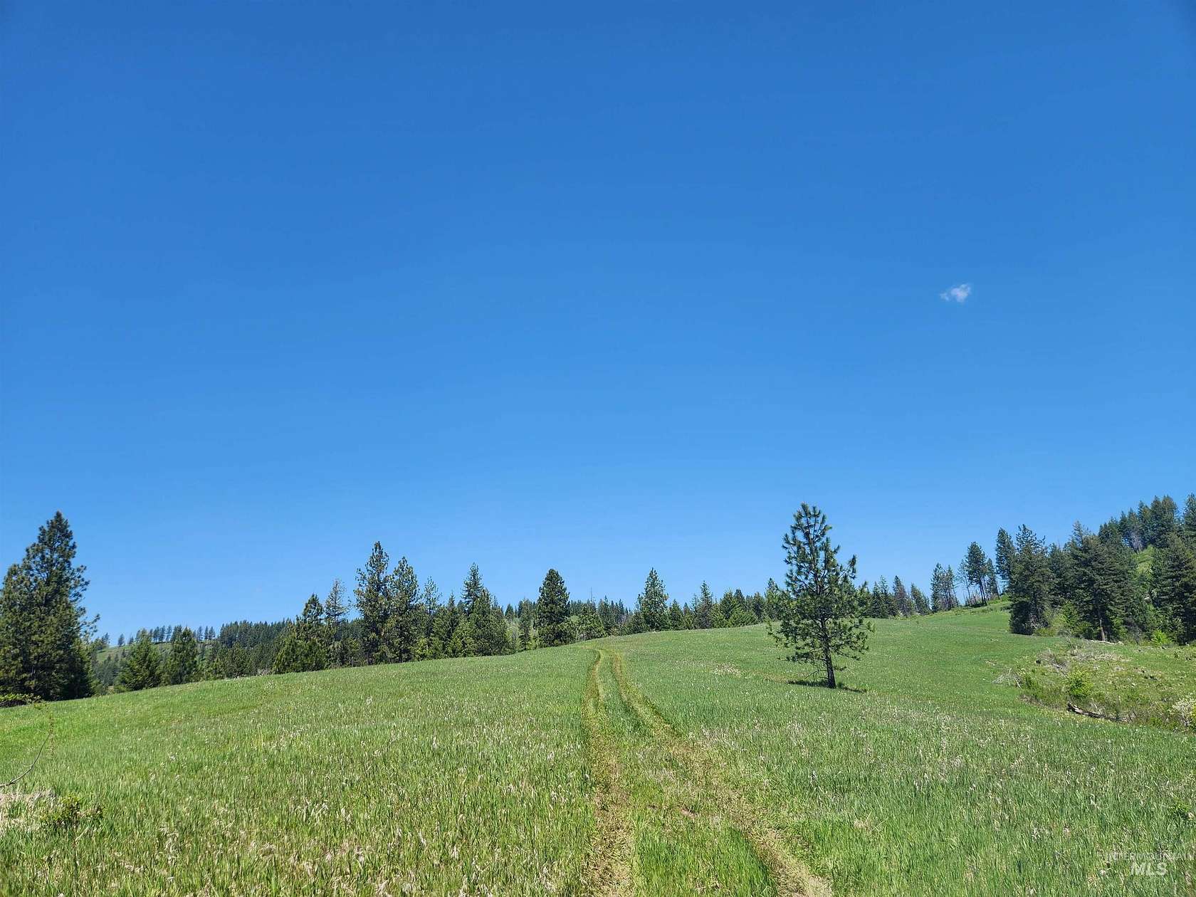 50 Acres of Recreational Land for Sale in Weippe, Idaho