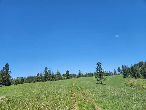 50 Acres of Recreational Land for Sale in Weippe, Idaho