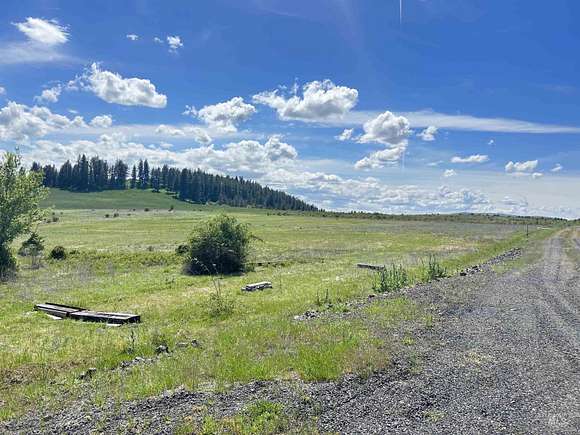 19.9 Acres of Land for Sale in Kooskia, Idaho