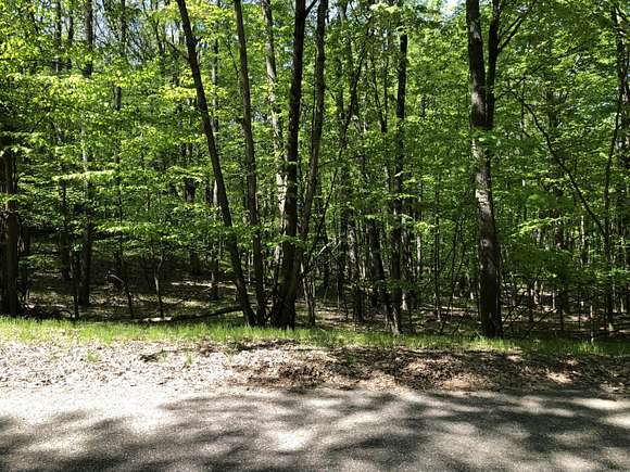 0.4 Acres of Residential Land for Sale in Canadian Lakes, Michigan