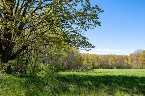 40 Acres of Recreational Land for Sale in Sturgeon Bay, Wisconsin