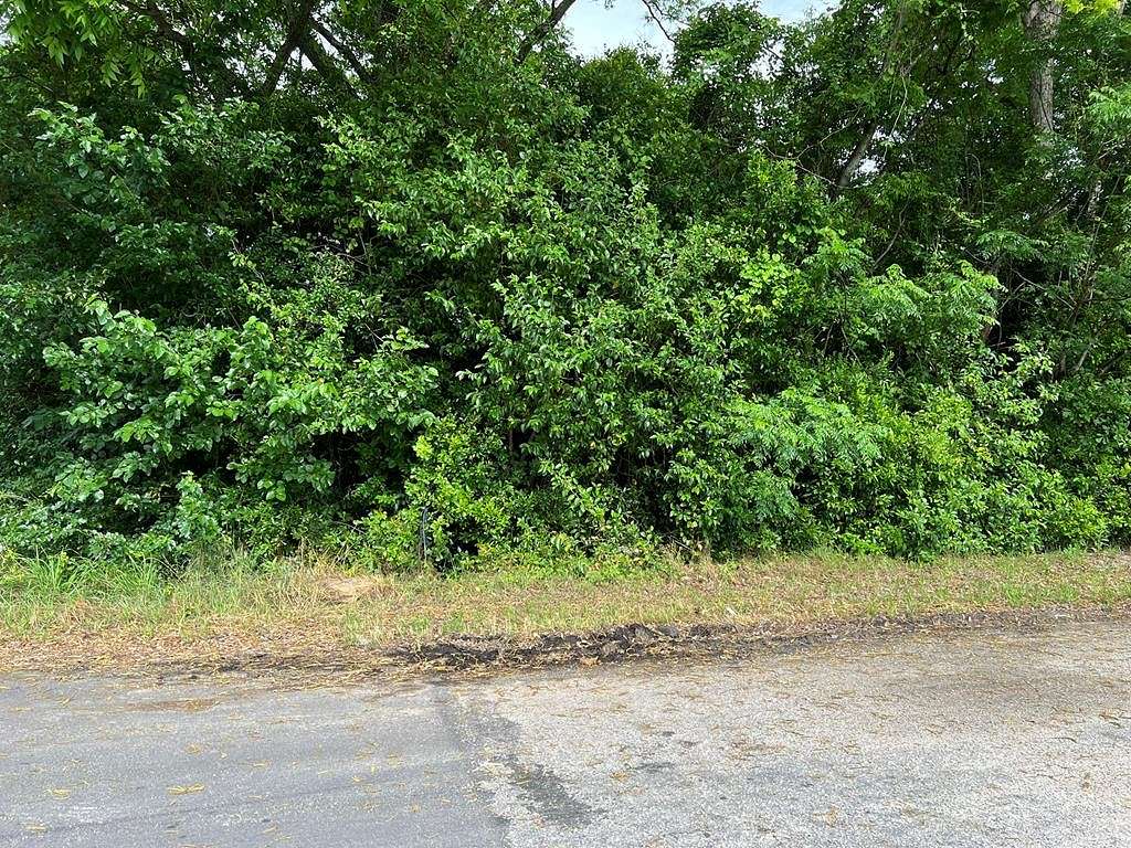 0.1 Acres of Commercial Land for Sale in Orangeburg, South Carolina