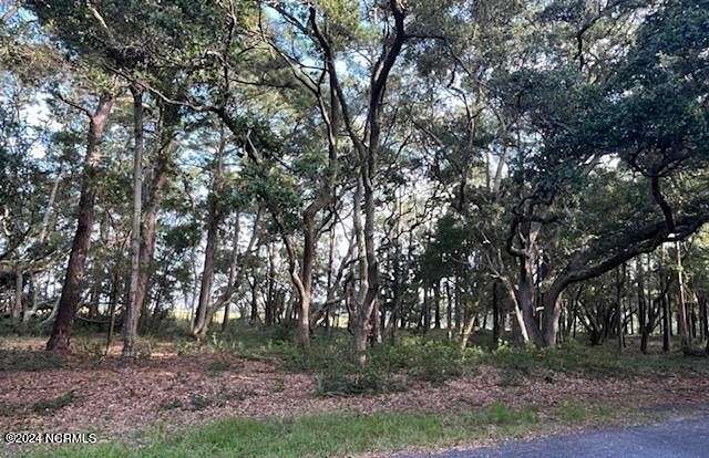 0.9 Acres of Residential Land for Sale in Supply, North Carolina