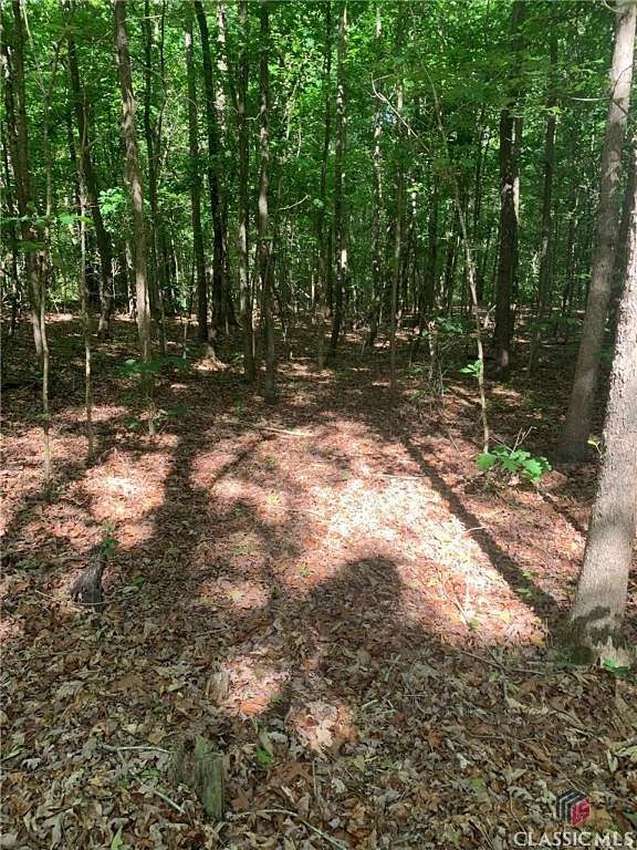 10 Acres of Residential Land for Sale in Alto, Georgia