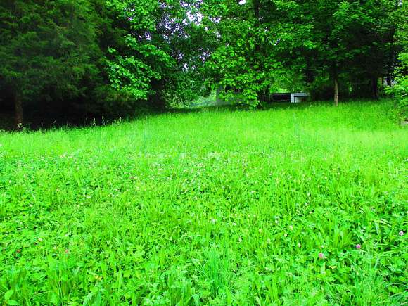 0.11 Acres of Residential Land for Sale in French Lick, Indiana