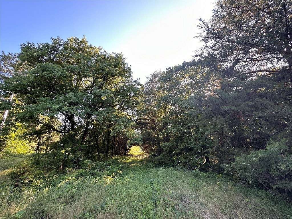 19.6 Acres of Recreational Land for Sale in Macomb, Oklahoma