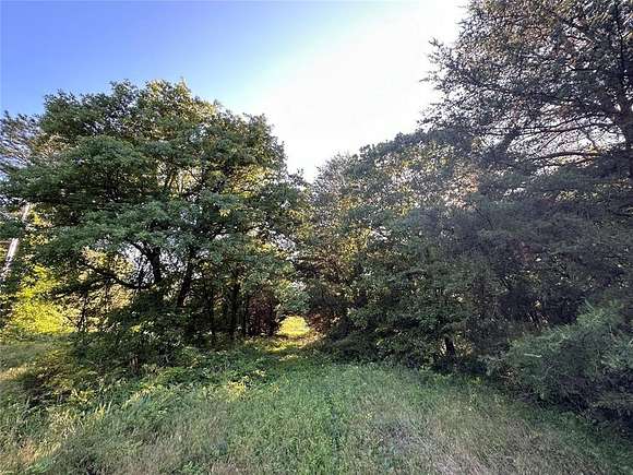 19.61 Acres of Recreational Land for Sale in Macomb, Oklahoma