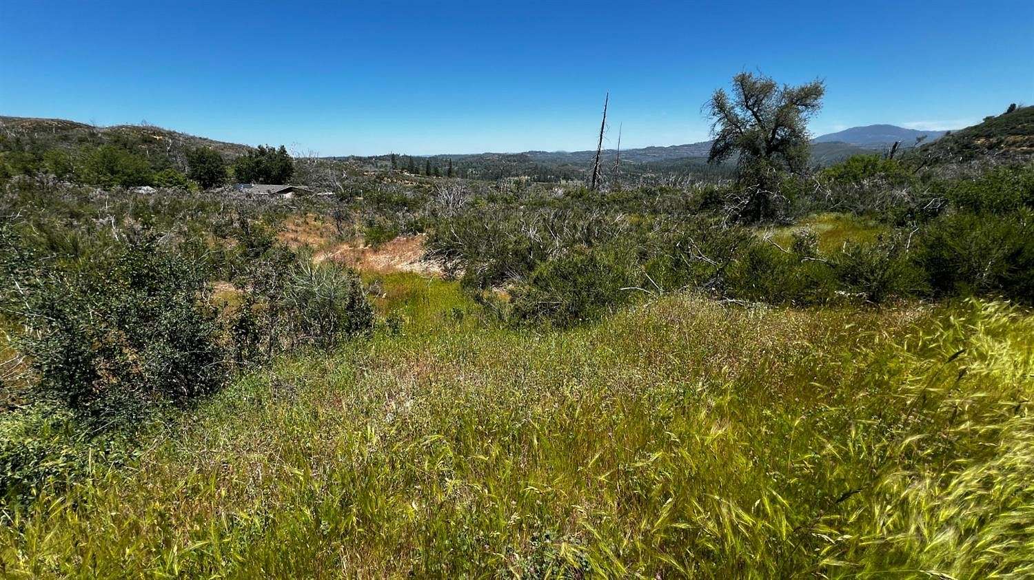 5.2 Acres of Residential Land for Sale in Mountain Ranch, California