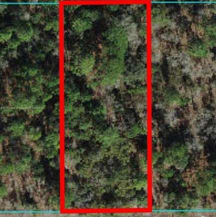 0.99 Acres of Land for Sale in Ocala, Florida
