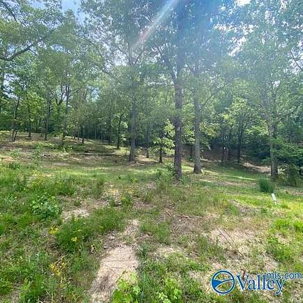 0.54 Acres of Residential Land for Sale in Leesburg, Alabama