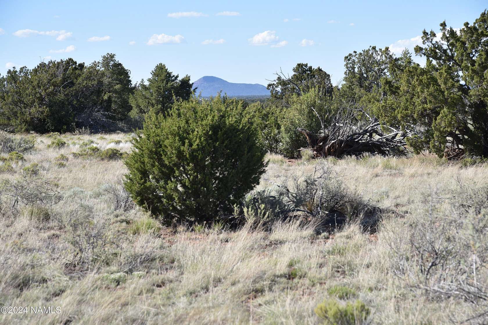 1 Acre of Residential Land for Sale in Williams, Arizona