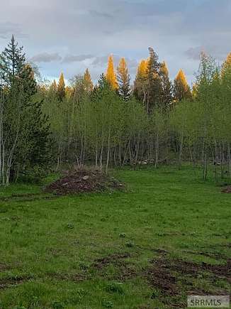 2.5 Acres of Residential Land for Sale in Island Park, Idaho