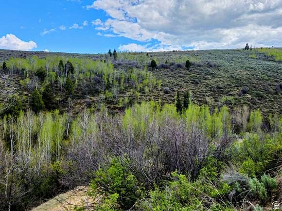 40 Acres of Recreational Land for Sale in Paris, Idaho