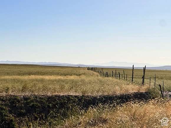 208 Acres of Agricultural Land for Sale in Holden, Utah