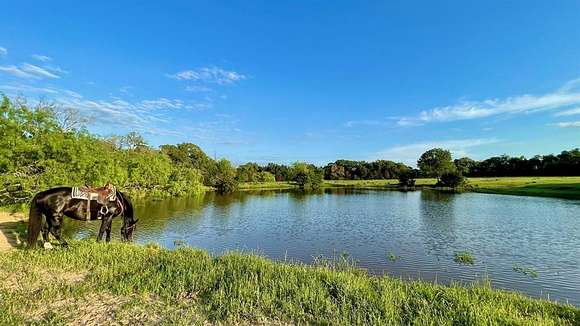 134 Acres of Land for Sale in Bremond, Texas