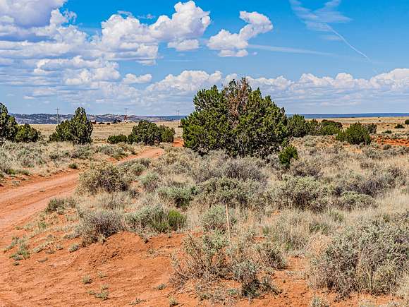 37 Acres of Recreational Land for Sale in Concho, Arizona