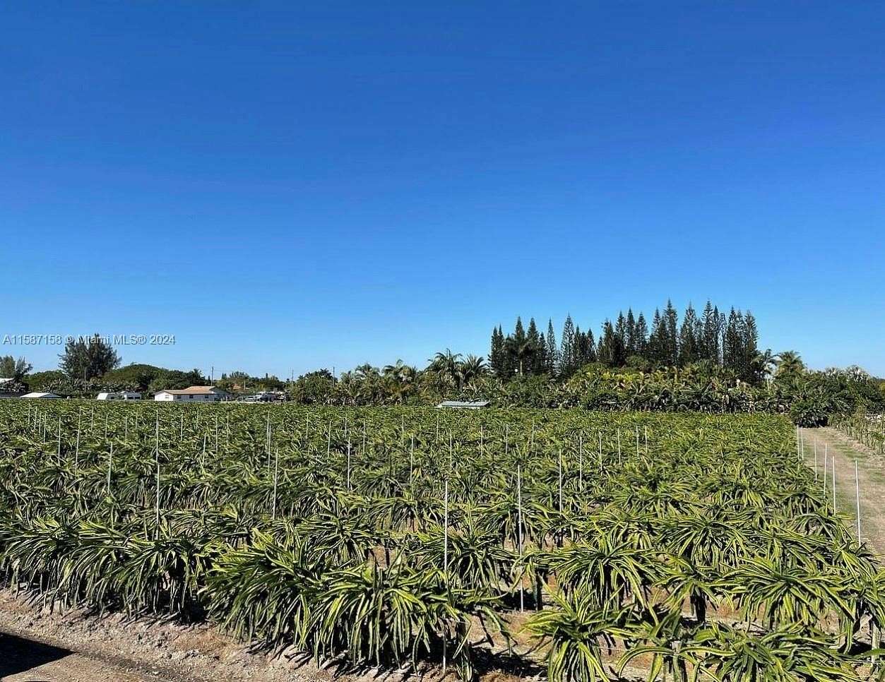 5 Acres of Agricultural Land for Sale in Miami, Florida