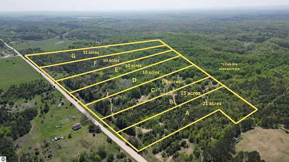 11 Acres of Recreational Land for Sale in Copemish, Michigan